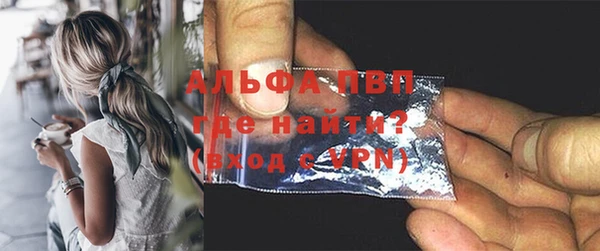 PSILOCYBIN Козельск
