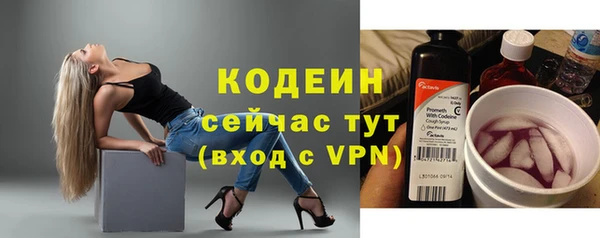 молекула духа Нестеровская