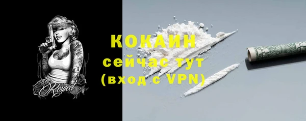 таблы Козловка