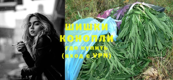 ПСИЛОЦИБИНОВЫЕ ГРИБЫ Кодинск