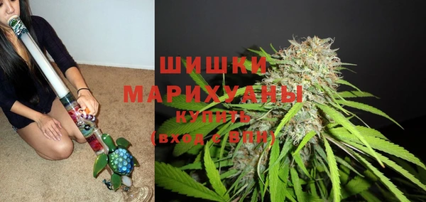 ПСИЛОЦИБИНОВЫЕ ГРИБЫ Кодинск