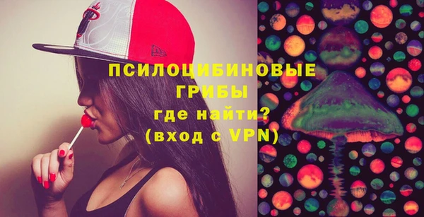 PSILOCYBIN Козельск