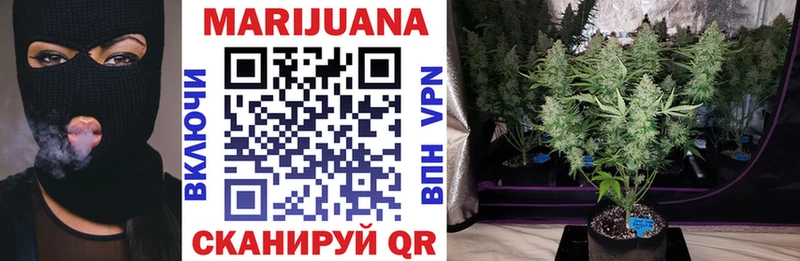 Бошки Шишки White Widow где купить наркоту Харабали